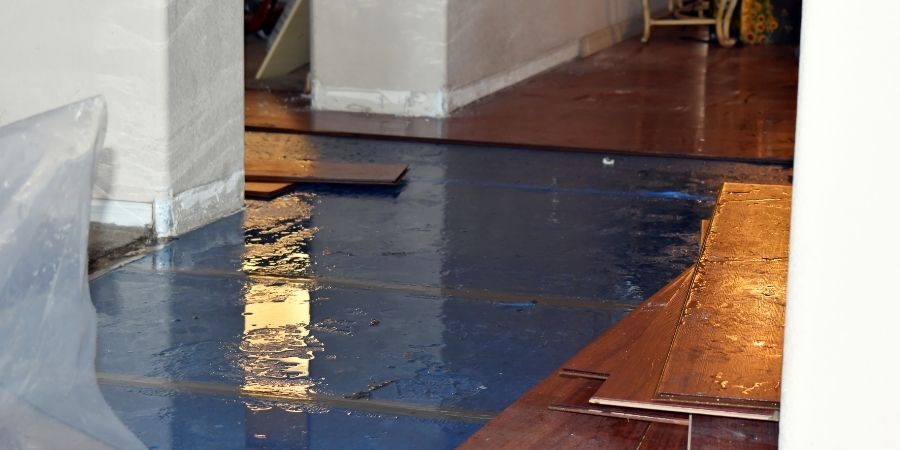 water damage cleanup st simons