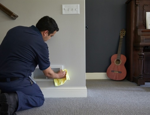 How Mold Removal in New Bern, NC Can Improve Your Sleep Quality