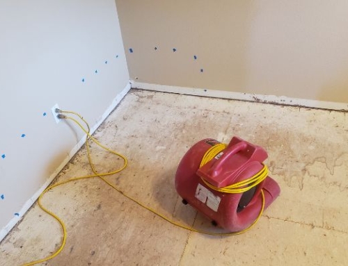 How Water Damage Contributes to Mold Growth in Your Home | Water Damage Restoration in Goldsboro, NC