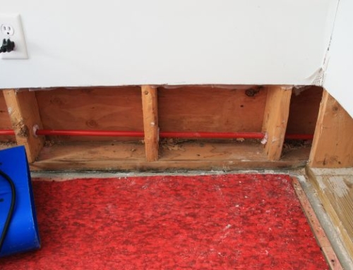 Understanding the Health Risks of Untreated Water Damage | Water Damage Restoration in Goldsboro, NC