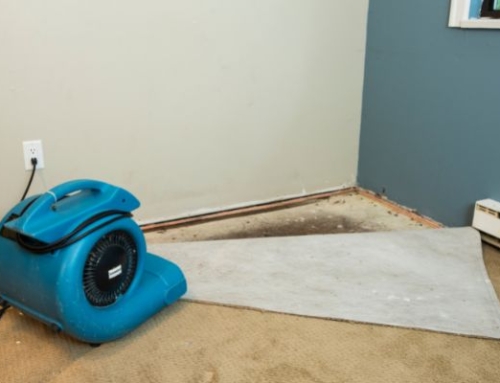 How Water Damage Impacts the Value of Your Property | Water Damage Restoration in New Bern, NC