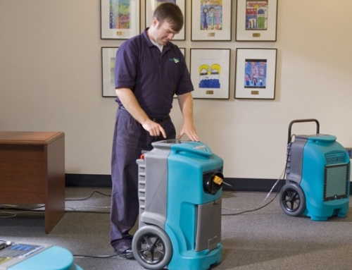 The Financial Benefits of Early Mold Remediation | New Bern, NC