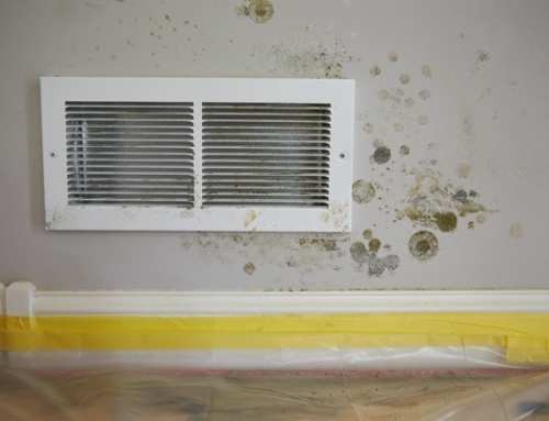 Why Older Homes Often Need Mold Remediation | Goldsboro, NC