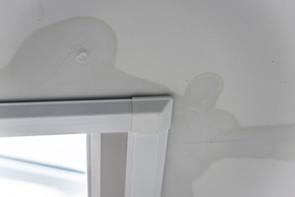 Water Damage Cleanup Goldsboro NC