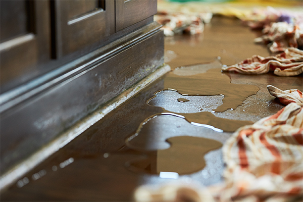 Water Damage Restoration Company in New Bern NC